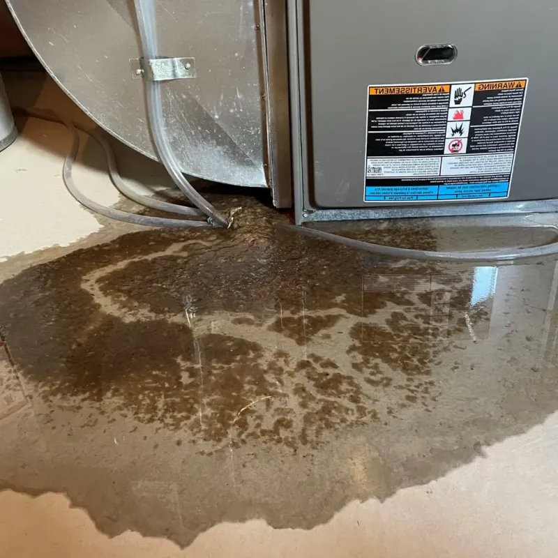 Pipe Burst and Leak Restoration in Saint Albans, WV